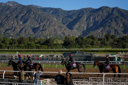 After horse deaths marred this year’s Kentucky Derby and Preakness, and two more occurred days ahead of the world championships, safety at the Breeders’ Cup held at Santa Anita is a top concern.