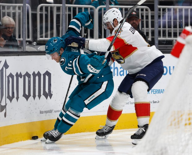 San Jose Sharks' William Eklund (72) fights for the puck against Florida Panthers' Oliver Ekman-Larsson (91) in the third period at the SAP Center in San Jose, Calif., on Tuesday, Nov. 14, 2023. (Nhat V. Meyer/Bay Area News Group)