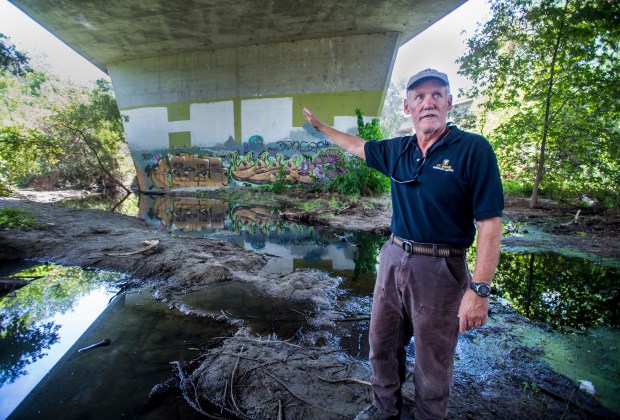 Winston Vickers, a veterinarian at the UC Davis Wildlife Health Center and leading researcher and expert of mountain lions in Orange, Riverside and San Diego counties, stands beneath the I-15 freeway in Temecula as he talks about the wildlife corridor that follows along the Temecula Creek on Tuesday, August 28, 2018. (Photo by Mark Rightmire, Orange County Register/SCNG)