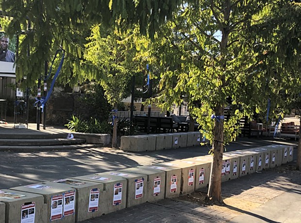 Students from Hillel at Stanford tied blue ribbons around campus trees to commemorate the lives lost during Hamas' attack and posted photos of hostages. (Photo courtesy of Hillel at Stanford)