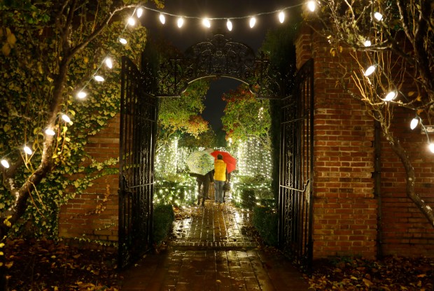 WOODSIDE, CALIFORNIA - NOVEMBER 17: Visitors walk in the Walled Garden at Filoli Historic House and Garden during their "Holidays Media Preview Night" in Woodside, Calif., on Tuesday, Nov. 17, 2020. (Nhat V. Meyer/Bay Area News Group)