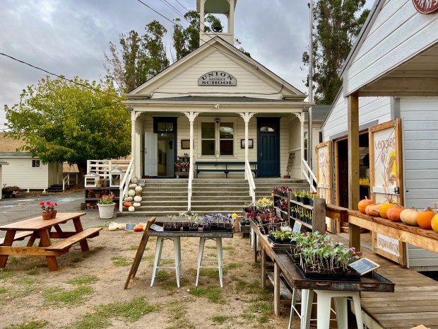 Tenfold Farmstand in Petaluma sells local produce and eggs and hosts live music and events, all from a historic two-room schoolhouse. (John Metcalfe/Bay Area News Group)