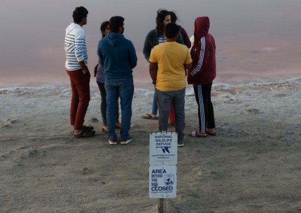 Visitors stand in an area closed to the public off of the Alviso Slough Trail next to the pink hue, due to algae, that can be seen at the Don Edwards San Francisco Bay Wildlife Refuge in Alviso in San Jose, Calif., on Monday, Nov. 13, 2023. (Nhat V. Meyer/Bay Area News Group)